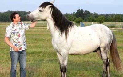 Vortragsabend: Angst beim Reiten