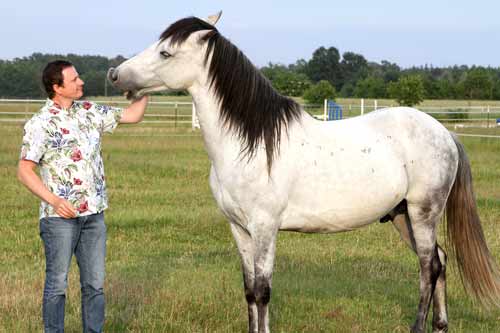 Angstfrei mit dem Pferd
