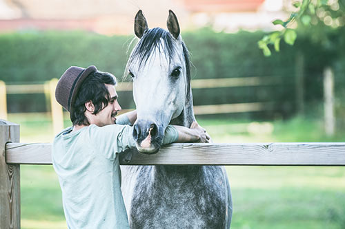 Ausbildung pferdegestütztes Achtsamkeits- & Stressmanagementcoaching