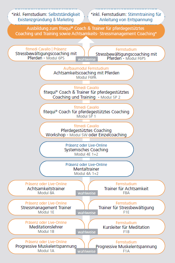 fitequi® Coach & Trainer für pferdegestütztes Coaching sowie Stressmanagement- und Achtsamkeitscoaching