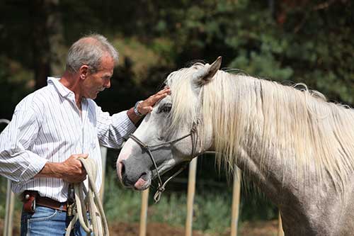 Unternehmer beim Coaching mit dem Pferd