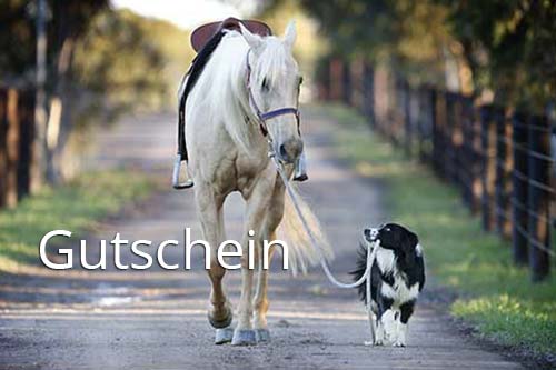 Hund führt Pferd am Strick