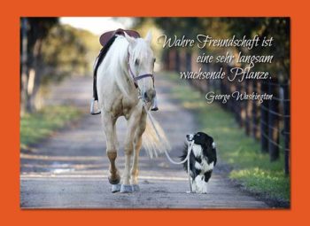 Gutschein Karte Pferd & Hund