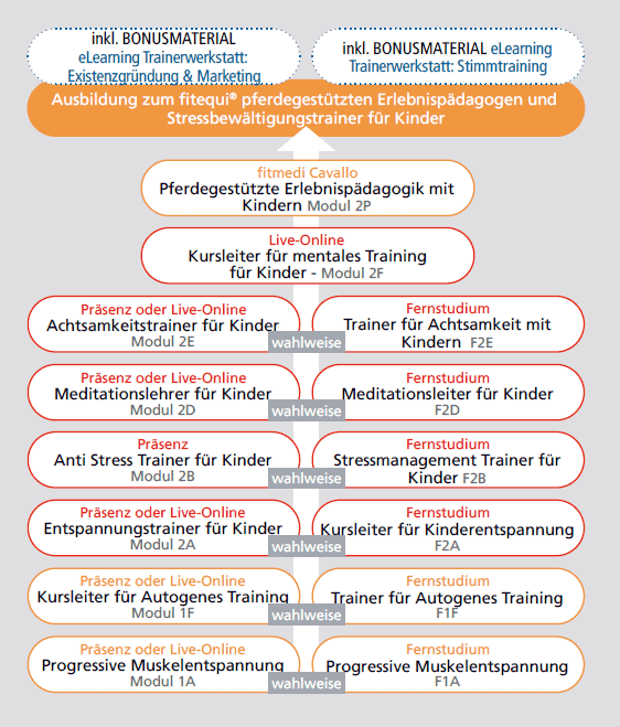 fitequi® pferdegestützter Erlebnispädagoge und Stressbewältungstrainer für Kinder