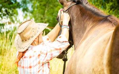 Arien Aguilar – Kurs Bodenarbeit- & Freiarbeit