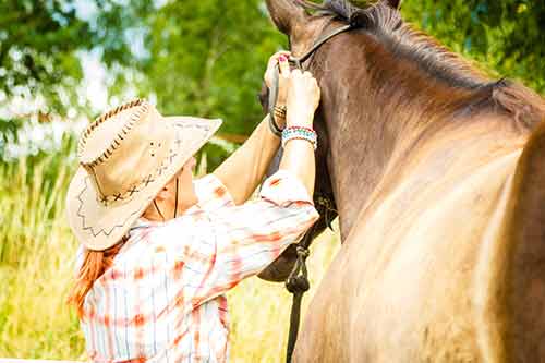 Frau legt dem Pferd das Knotenhalfter an